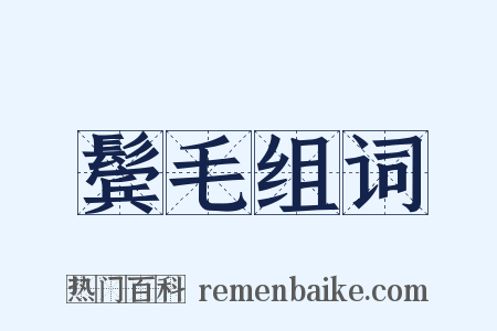 鬓毛组词是什么意思的图片